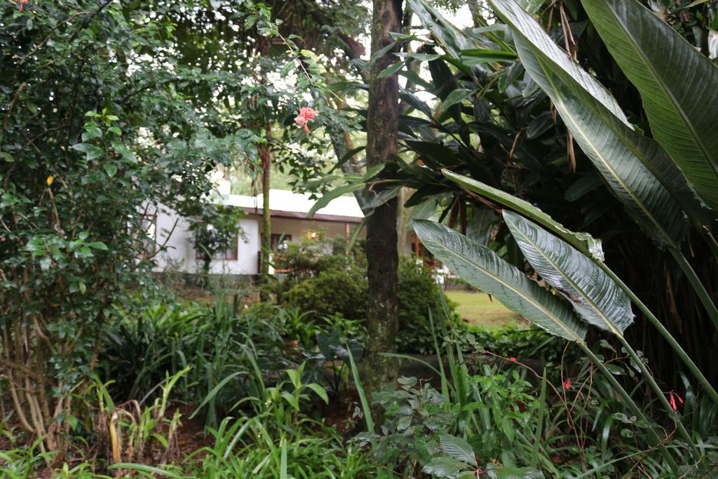 Softwaters Guesthouse Cottages 路易斯特里卡特 外观 照片